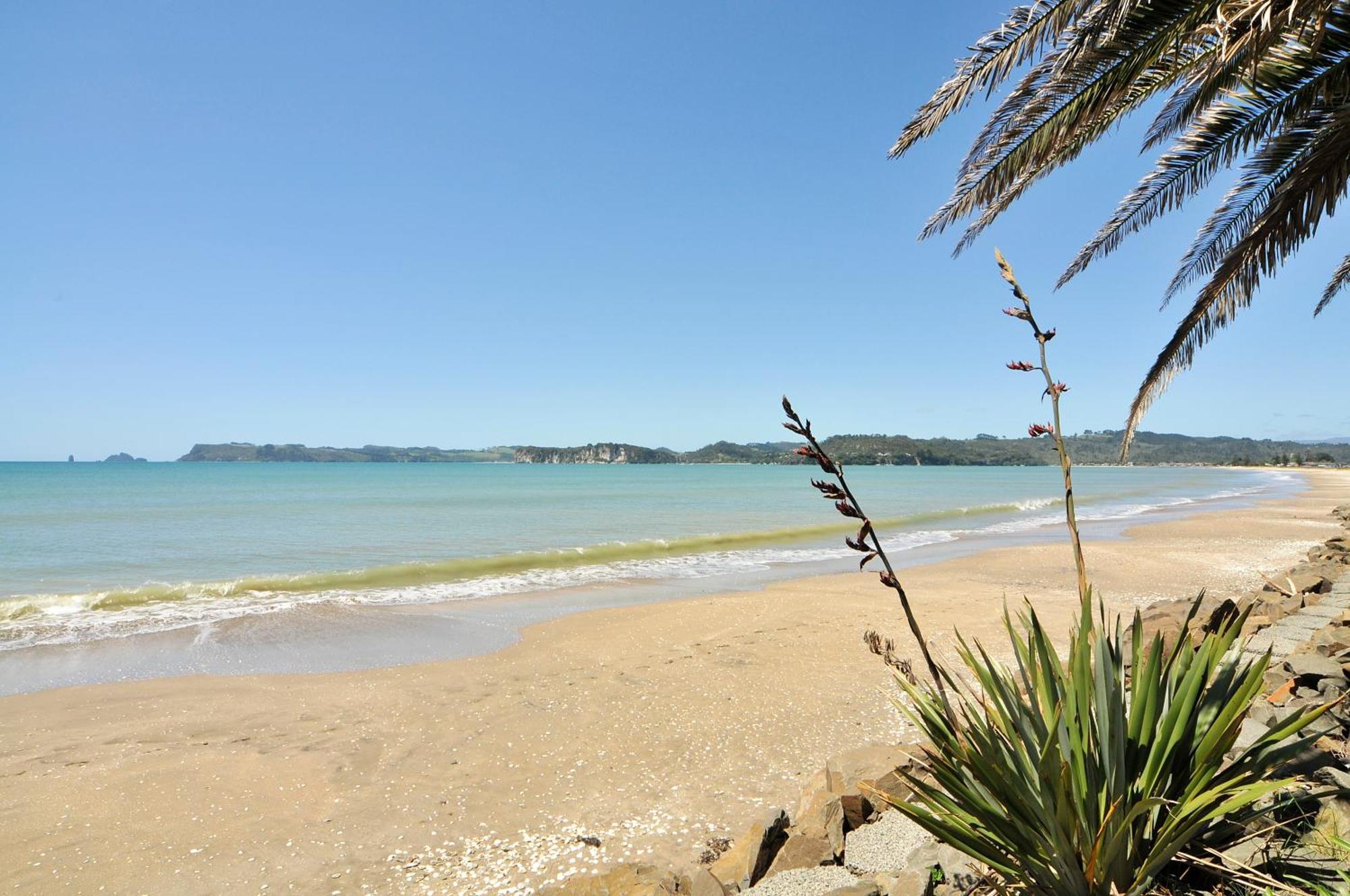 Whitianga Campground المظهر الخارجي الصورة