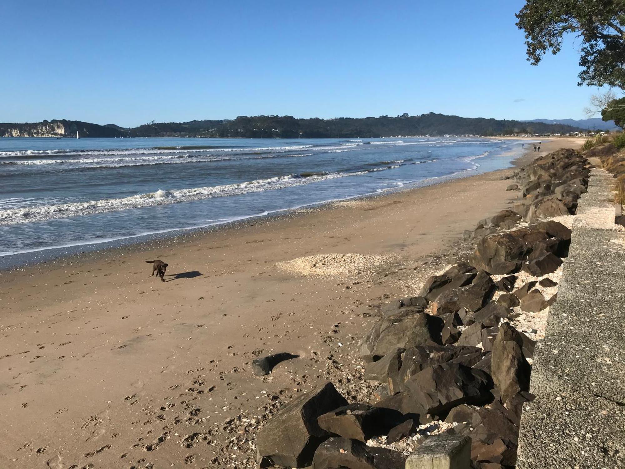 Whitianga Campground المظهر الخارجي الصورة